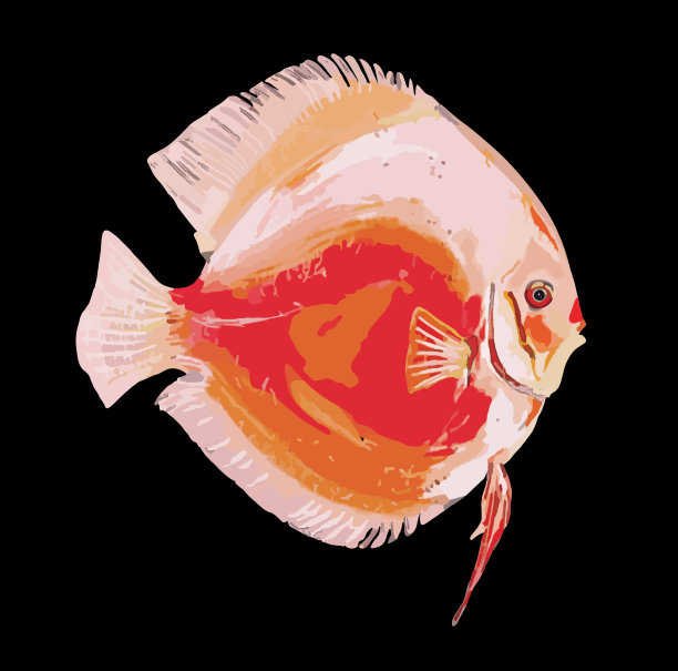 铁饼鱼画02图片下载