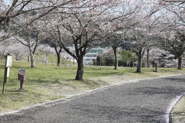 日本旅游目的地图片下载
