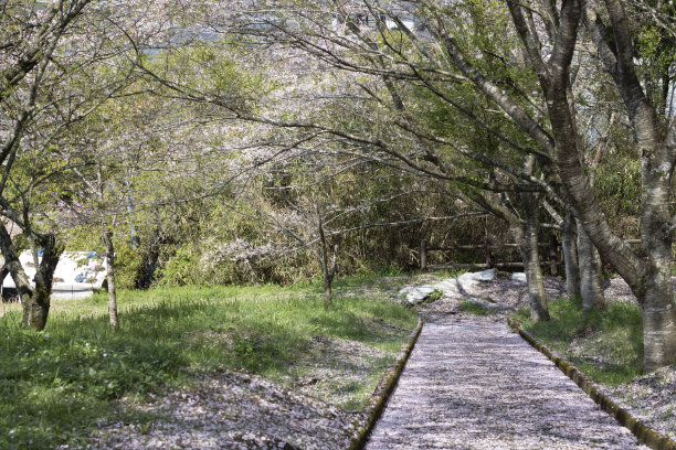 日本旅游目的地图片下载