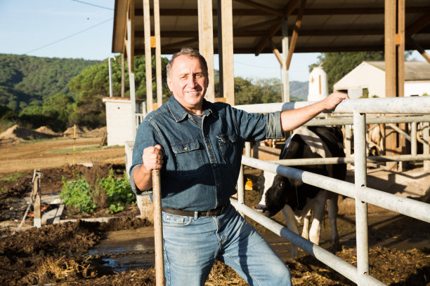 微笑的成熟男子农民在牛棚的肖像图片下载