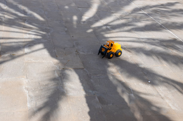 被遗忘的玩具在棕榈树的阴影里图片下载