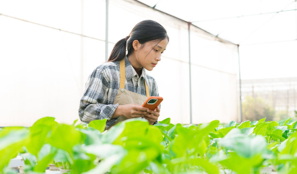 亚洲女农民在她的水培蔬菜园的形象图片下载