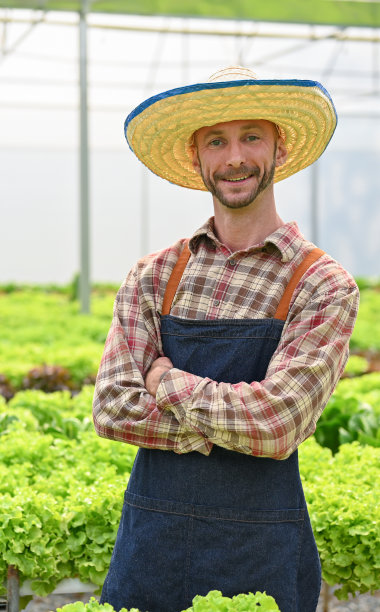 一个成功而快乐的白人男性农民双臂交叉地站在温室里。图片下载