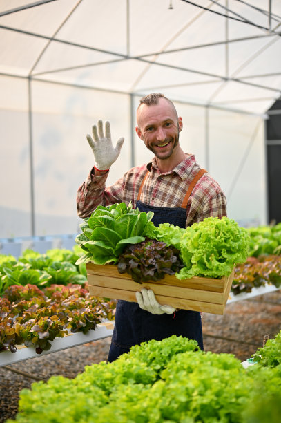 快乐的成年白人男性农民拿着一个装满各种新鲜沙拉蔬菜的木箱图片下载