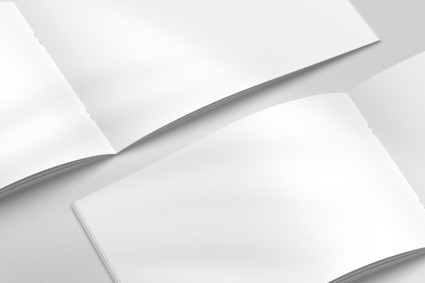 逼真的俯视图封面和打开肖像A4或A5杂志或小册子小册子文具和品牌。模型模板孤立的浅灰色背景和树叶阴影覆盖。3 d渲染。图片下载