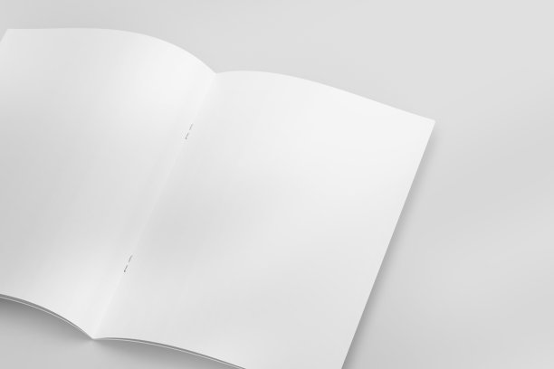 逼真的俯视图打开肖像A4或A5杂志或小册子小册子文具和品牌。模型模板与孤立的浅灰色背景和树叶阴影覆盖。3 d渲染。图片下载