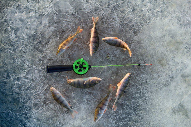 积极休息，在冬天从冰面上捕鱼图片下载