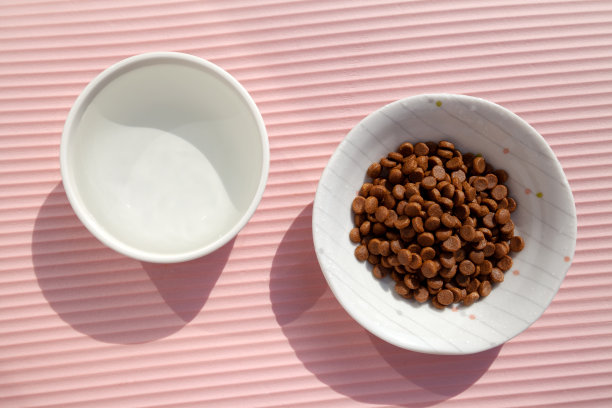 陶瓷宠物碗装满水和干粮俯视图图片下载