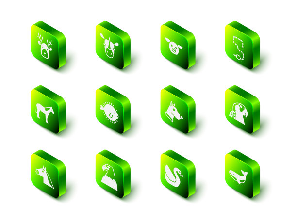 集犀牛，猪，蠕虫，金刚鹦鹉，鲸鱼图片下载