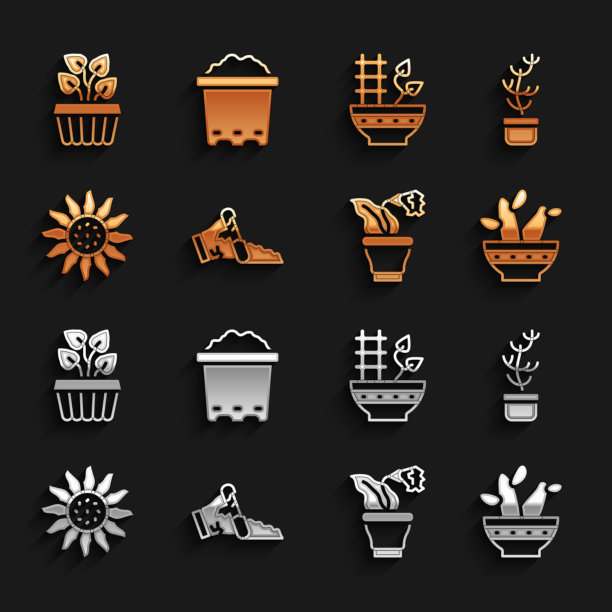 设置破锅异国热带植物在仙人掌图片下载