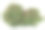 福雷斯特安排孤立的背景。三维渲染-插图描述图片下载