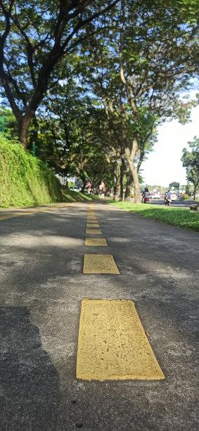 行人路径上的橙色虚线或道路标记，背景散焦。图片下载