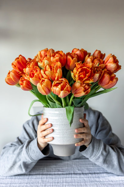 女性手中的新鲜橙色郁金香花束，特写。图片下载