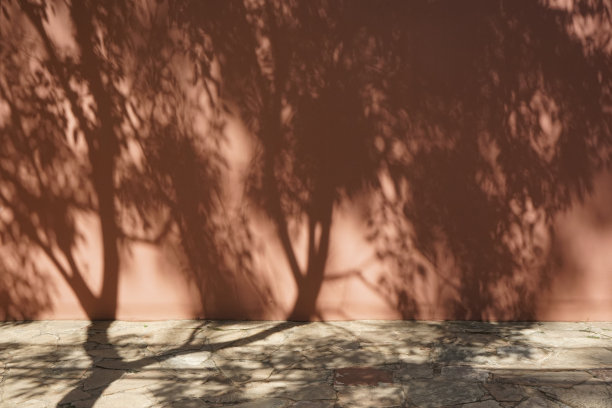 墙上和人行道上的树影。街。米色浅棕色。背景。3d渲染。产品空间。图片下载
