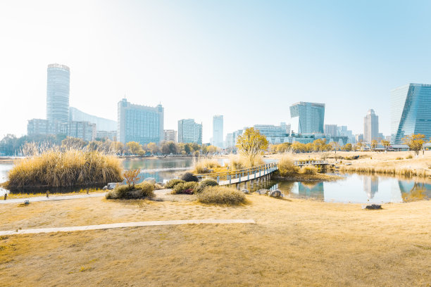 阳光成都金融城图片下载