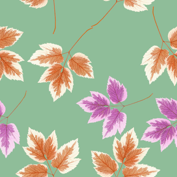 枫叶。插图，花的纹理。无缝模式的连续复制。花卉背景，照片拼贴纺织，棉织物。壁纸，封面，印刷品图片下载