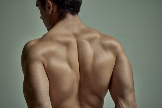 裁剪图像的强壮肌肉的男性身体，肩膀，浮雕背部在浅绿色的工作室背景。男模特赤裸上身摆姿势。男人的健康，美丽，运动的概念图片下载