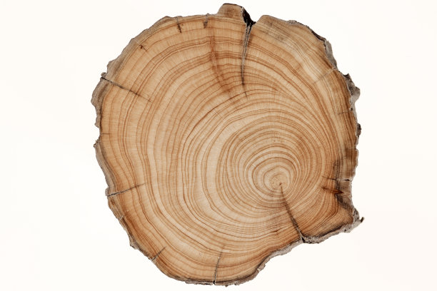 白色背景上孤立的木桩。图片下载