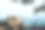 黄山“钱望海”图片下载