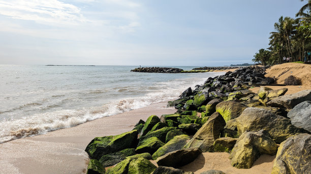 有岩石的退潮海滩图片下载