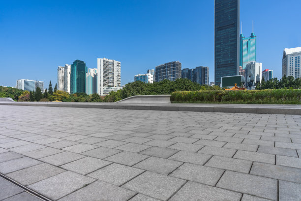深圳的城市景观和天际线在蓝天从空地板图片下载