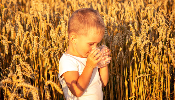 这孩子用玻璃杯喝水。有选择性的重点。图片下载