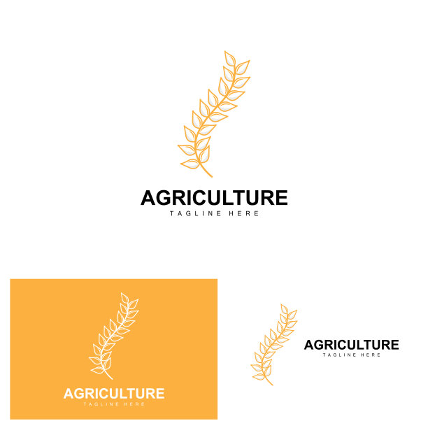 大米标志，农业设计，矢量小麦大米图标模板插图图片下载