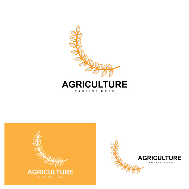 大米标志，农业设计，矢量小麦大米图标模板插图图片下载