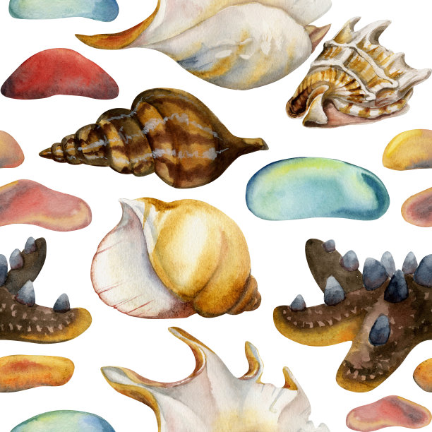 手绘水彩海滩各色彩色海玻璃，贝壳和海星。无缝模式。孤立在白色背景上。墙面艺术，婚庆，印花，面料，封面，卡片，旅游，旅游小册子。图片下载