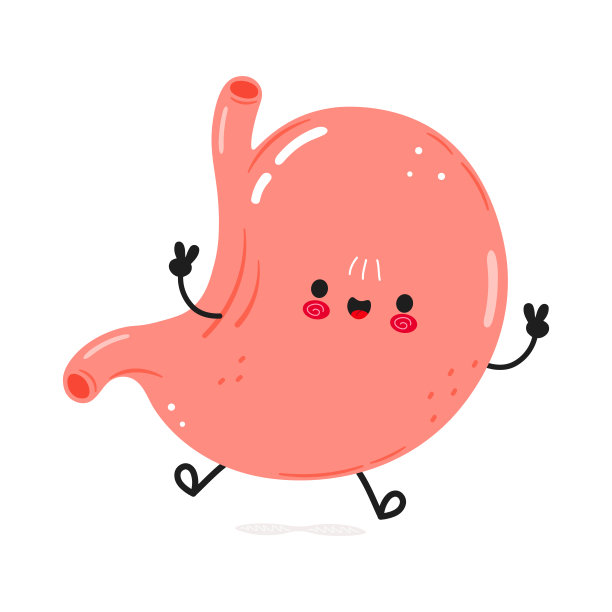 可爱有趣的胃跳字符。矢量手绘卡通卡哇伊人物插图图标。孤立在白色背景上。胃字概念图片下载