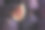 新鲜的无花果片躺在一堆成熟的无花果上图片下载