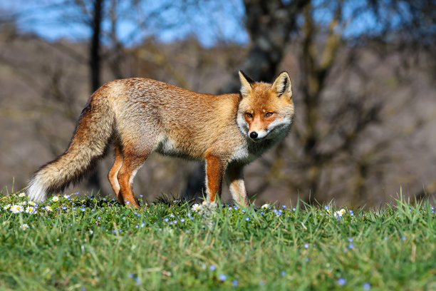来来回回。图片下载