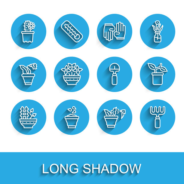 在盆里种上仙人掌图片下载