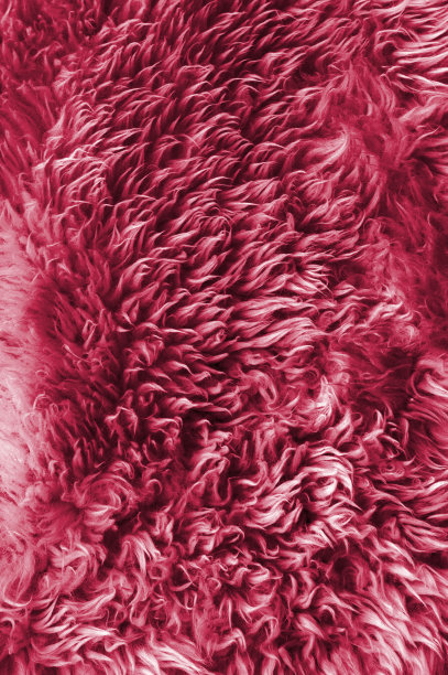 白色羊毛背景图片下载