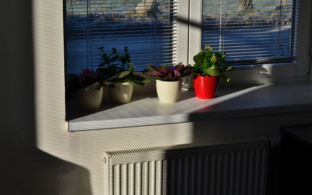 在小花盆里种花。白色的窗户和百叶窗反射大量的光线。因此，花盛开，看起来很新鲜。家居装饰布置图片下载