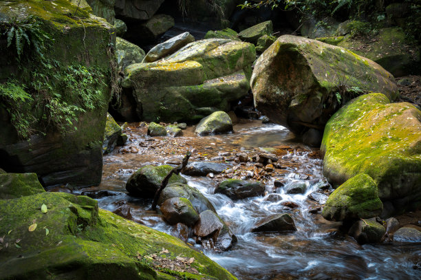 在台湾基隆暖东谷的徒步小径上，小溪缓缓流过长满苔藓和蕨类植物的美丽岩石。图片下载