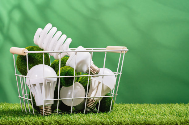 地球日。首页绿色星球概念。LED灯泡图片下载