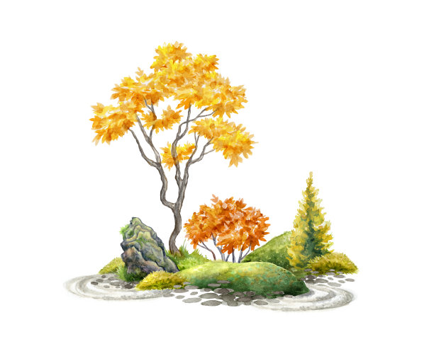 水彩插图。秋天的树、草和石头上长满了青苔。景观设计，自然绿色植物剪贴艺术，孤立在白色背景上图片下载