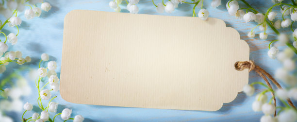 蓝色背景上的艺术春天的花朵边界;白色春花边;本空间图片下载