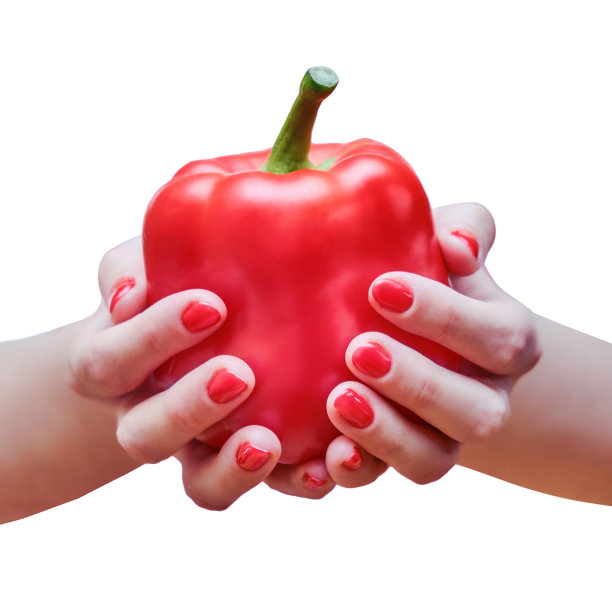 女性手中的红色灯笼椒，特写，孤立在白色背景上。一个穿着格子围裙的女人拿着一颗成熟的蔬菜，准备在厨房里做饭图片下载