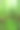 棕榈叶，热带棕榈叶，花卉背景，真实的图片图片下载