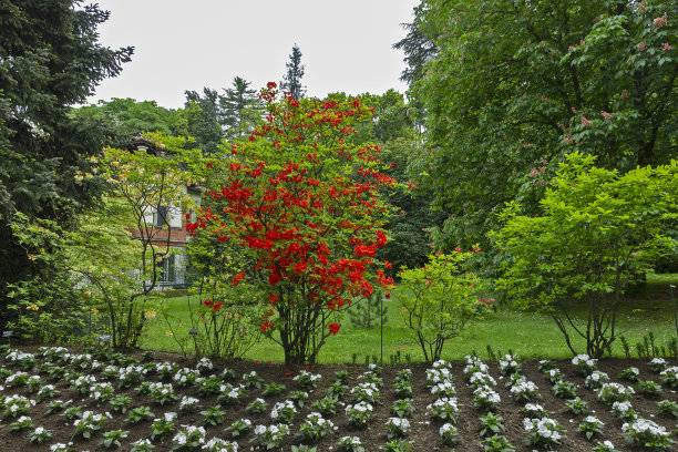 意大利塔兰托别墅的植物园图片下载