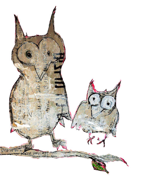 树枝插图上有大眼睛的猫头鹰家族图片下载