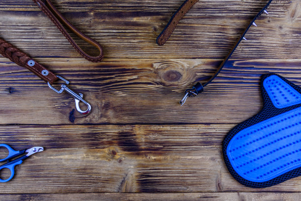 棕色皮革狗绳，项圈，宠物滑刷手套和剪刀爪子在木制背景。俯视图图片下载