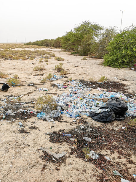 垃圾污染和塑料瓶图片下载