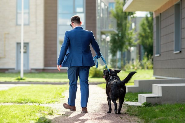 男子用皮带遛狗的背影。图片下载