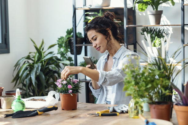美丽微笑的女子用智能手机拍摄温室里的植物和花朵图片下载