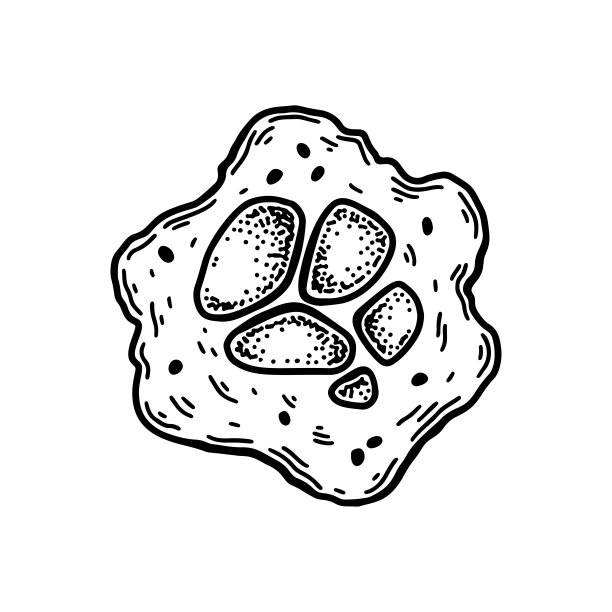 白底巨核细胞分离的血细胞。手绘科学微生物载体插图素描风格图片下载