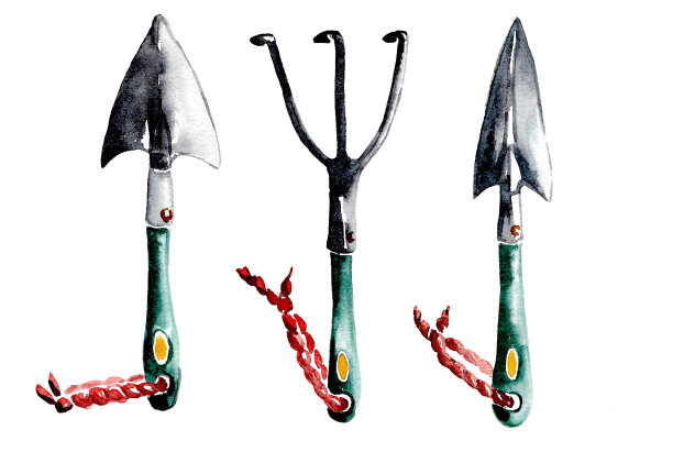 一套用于家庭园艺和种植室内植物的工具。图片下载