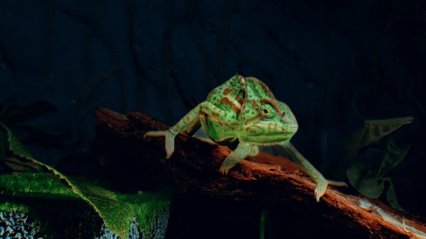 绿中带红点的驼背骆驼站在夜间的树枝上——特写图片下载